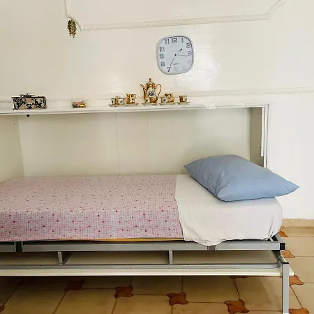 Angelica * 나폴리